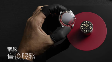 广东阳江帝舵维修服务中心地址